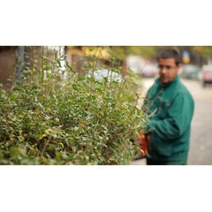 Hitachi CH22EA2 Engine Hedge Trimmer - Goldpeak Tools PH Hitachi