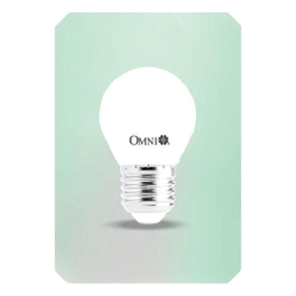 Omni 4W LED G45 Light Bulb 12V