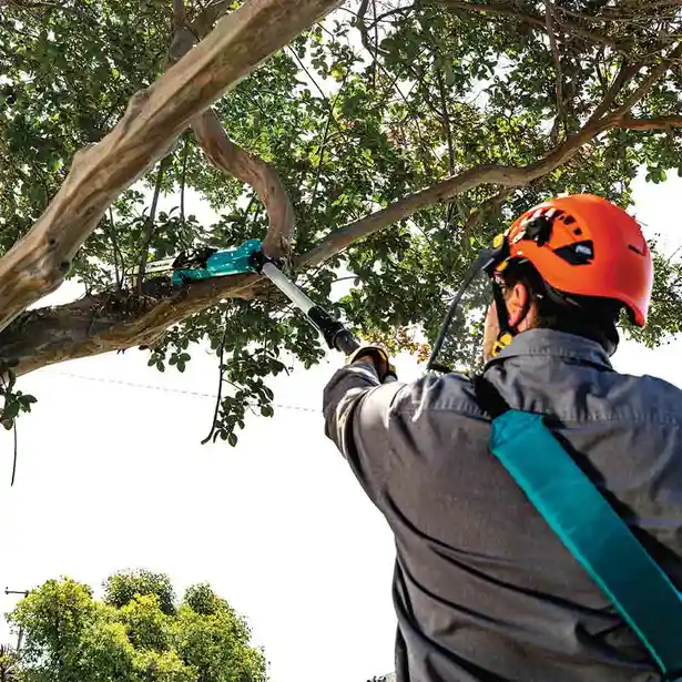 Makita DUA200Z 36V Cordless Brushless Pole Saw (LXT-Series) 20cm (8") [Bare] | Makita by KHM Megatools Corp.