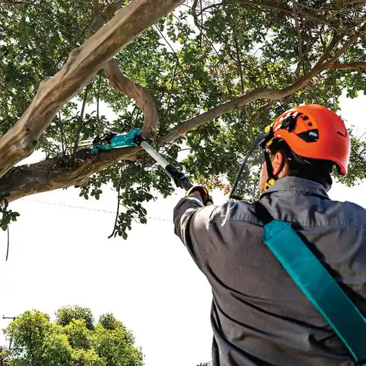 Makita DUA200Z 36V Cordless Brushless Pole Saw (LXT-Series) 20cm (8") [Bare] | Makita by KHM Megatools Corp.