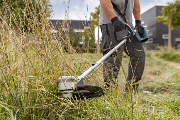 Bosch GFR 18V-23 Cordless Brushless Grass Trimmer 18V