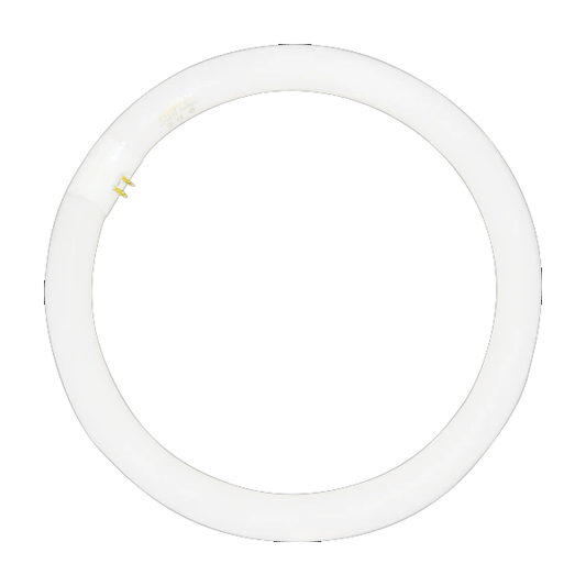 Firefly Fluorescents Tubes T9 Circular FL Tube | Firefly by KHM Megatools Corp.