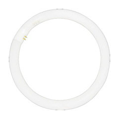Firefly Fluorescents Tubes T9 Circular FL Tube | Firefly by KHM Megatools Corp.