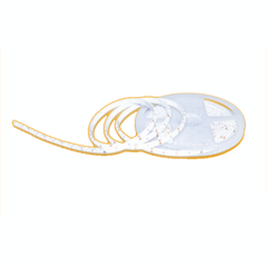 Firefly LED Strip Light 12V | Firefly by KHM Megatools Corp.
