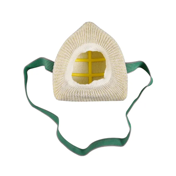 Blue Eagle NP22 Dust Mask with FIlter (NP-22)