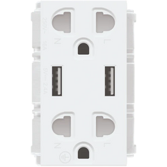 Royu RWO12 Duplex Universal Outlet with 2 USB Ports 16A (Wide)