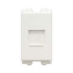 Royu RWX3 LAN Outlet (Wide)