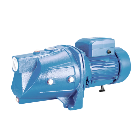 Carpina C-JSP Shallow Well Water Pump | Carpina by KHM Megatools Corp.