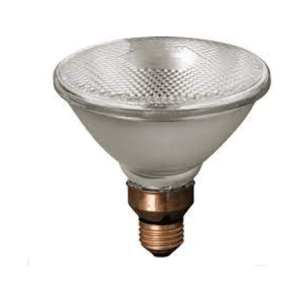 Firefly Conventional Lighting PAR38 Halogen Lamp | Firefly by KHM Megatools Corp.