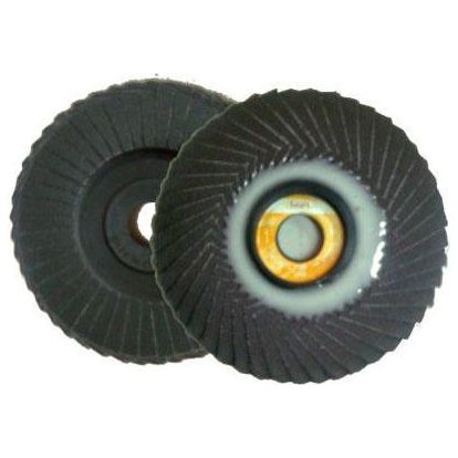 Tatara Flexible Flap Disc for Metal - Goldpeak Tools PH Tatara