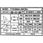 Hokage 2in1 TIG/MMA 300 DC Inverter Welding Machine - Goldpeak Tools PH Hokage