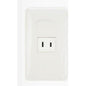 Omni P1-ER-PK Regular Outlet in Plate (Flush Type) | Omni by KHM Megatools Corp.
