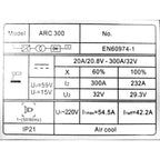 Riland ARC 300 DC Inverter Welding machine - Goldpeak Tools PH Riland