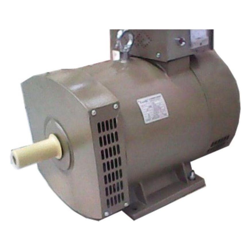 Zacchi Alternator Electric Motor (ST Series) - Goldpeak Tools PH Zacchi